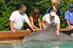 SeaWorld Orlando Dolphin Spotlight Tour Pictures of Missy Ward, Michael Gray, Zena Weist, Chris Heuer and Amanda 